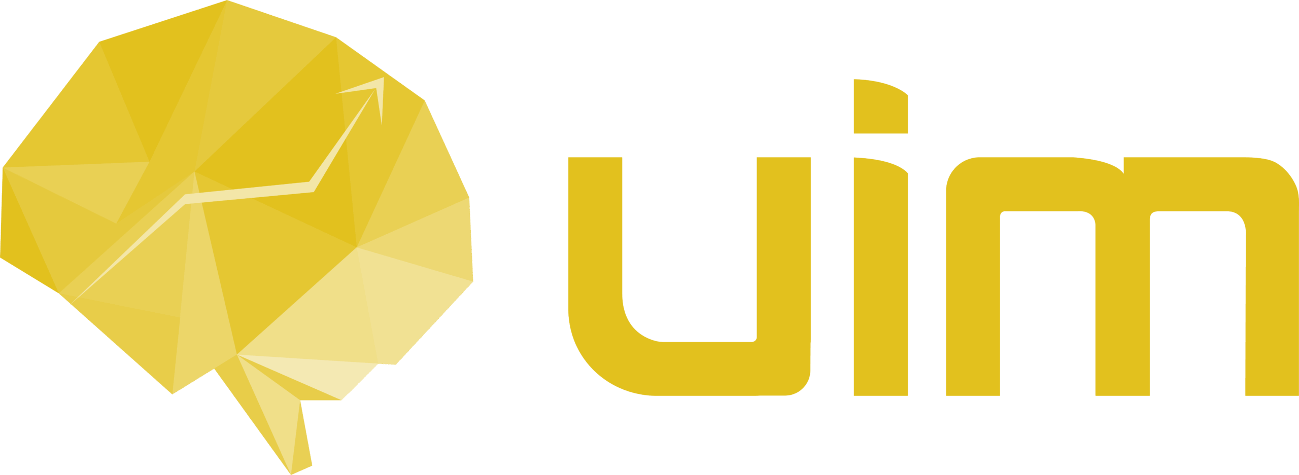 uim-yellow-scaled